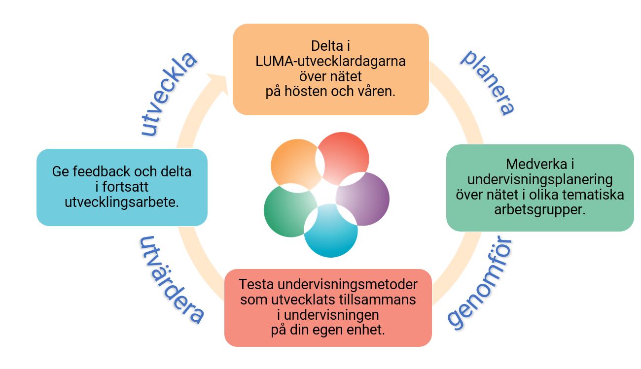 Projektet avanceras i fyra skede: planering, genomförande, unvärdering och utveckling kollektivt.