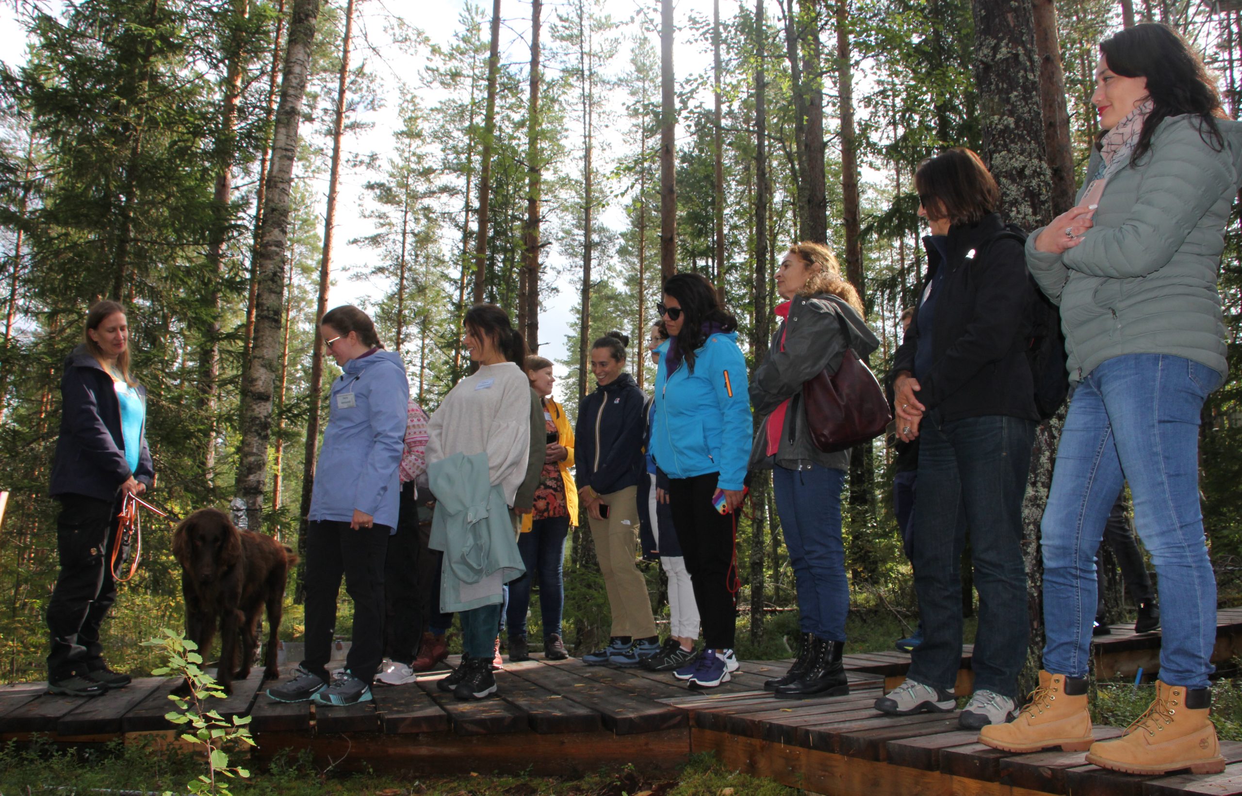 Deltagarna promenerar i skogen.